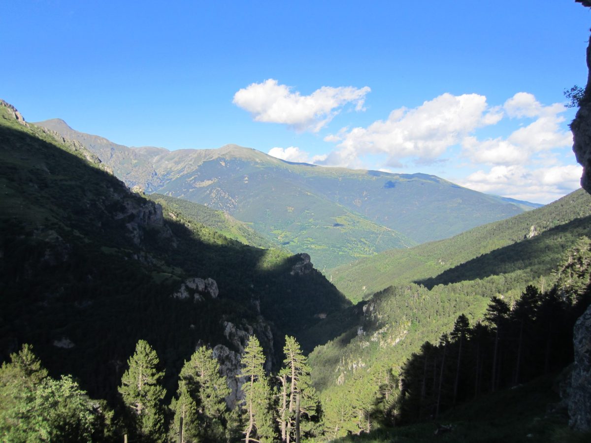 collet-barraques-teresa-marco